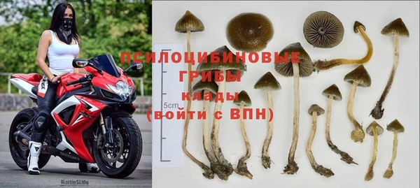 экстази Краснослободск