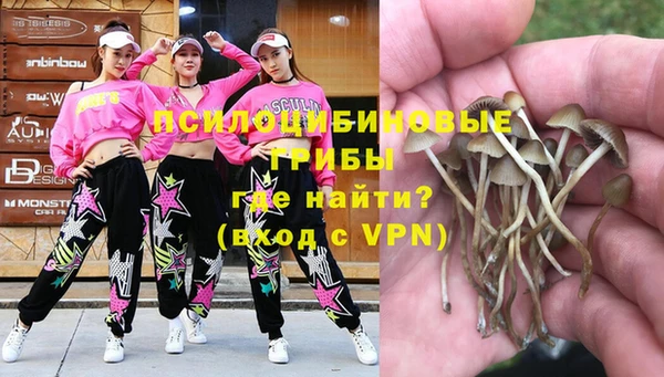 экстази Краснослободск